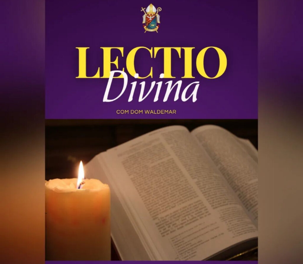 Read more about the article LECTIO DIVINA 2024